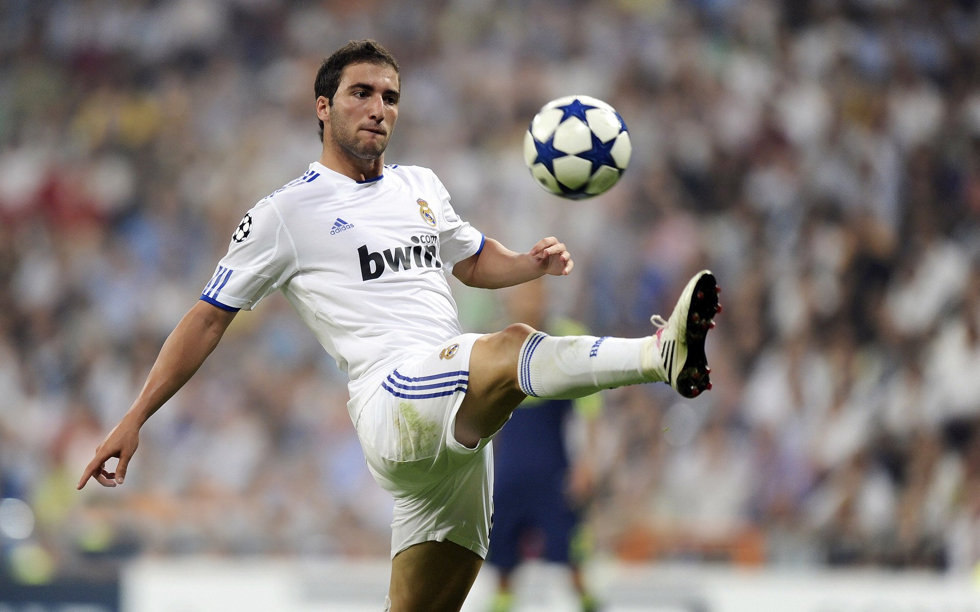 开云体育下载-哈弗茨数据统治全场，冰岛爆冷粉碎荷兰，足球赛场上的个人英雄主义与团队奇迹